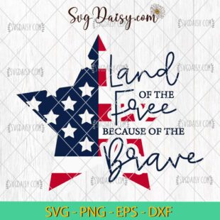 Land Of The Free Because Of The Brave SVG, 4th Of July SVG