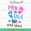 Baby Feet Pink Or Blue We Love You SVG