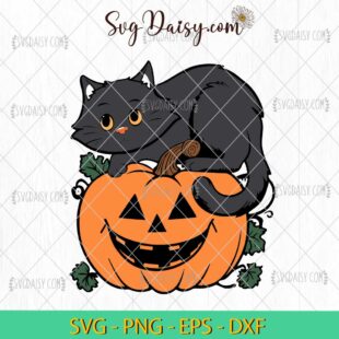 Black Cat Pumpkin Fall Halloween SVG, Black Cat Halloween SVG