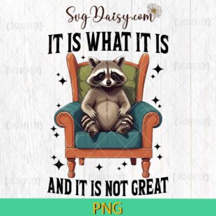 It Is What It Is And It Is Not Great PNG, Funny Raccoon PNG