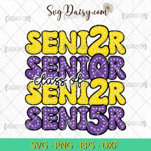 Senior 2025 SVG, Retro Graduation SVG, Class Of 2025 SVG